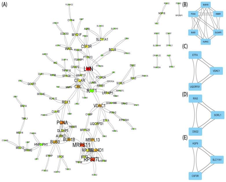 https://cdn.ncbi.nlm.nih.gov/pmc/blobs/b866/9221146/ae0f81685930/brainsci-12-00774-g004.jpg