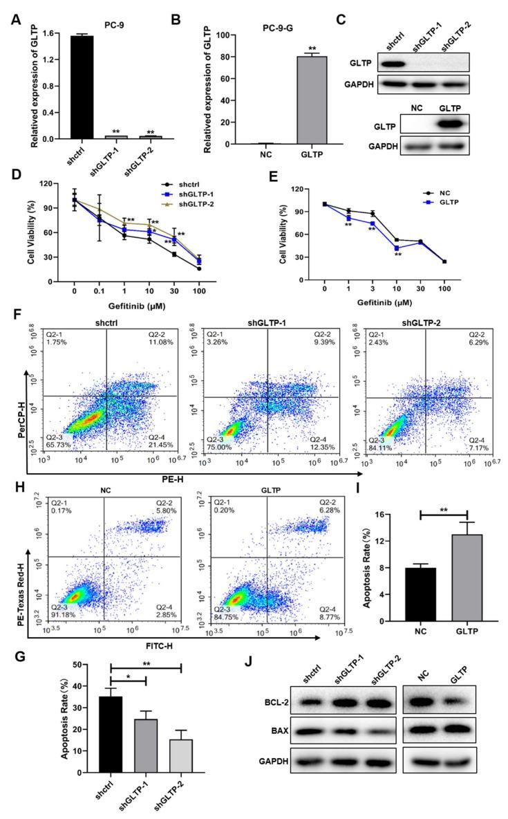 https://cdn.ncbi.nlm.nih.gov/pmc/blobs/b86a/8836598/b4319e02255e/ijms-23-01785-g005.jpg