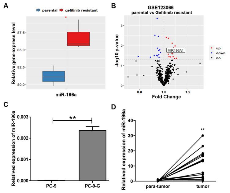 https://cdn.ncbi.nlm.nih.gov/pmc/blobs/b86a/8836598/ed0142cc77d7/ijms-23-01785-g001.jpg