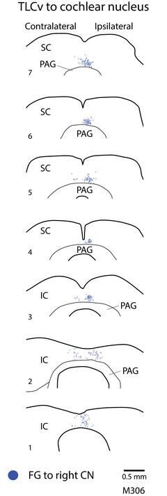 https://cdn.ncbi.nlm.nih.gov/pmc/blobs/b86b/12376255/c95d20be8114/CNE-533-e70080-g002.jpg