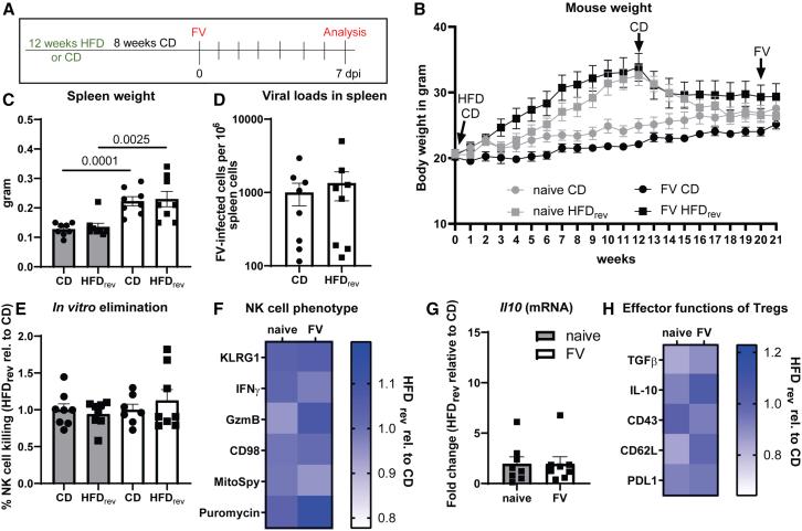 https://cdn.ncbi.nlm.nih.gov/pmc/blobs/b86c/12063142/23b84d724f7f/gr5.jpg