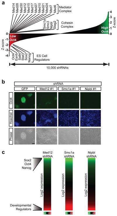 https://cdn.ncbi.nlm.nih.gov/pmc/blobs/b86d/2953795/14adaad3def4/nihms225969f1.jpg