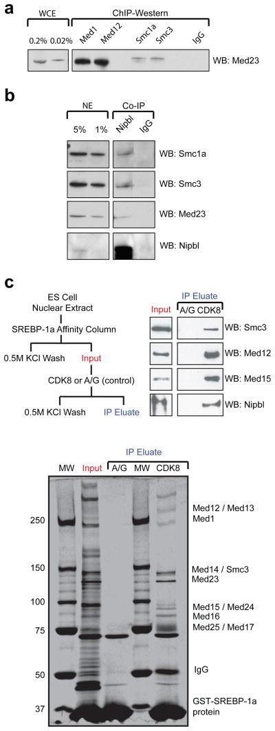 https://cdn.ncbi.nlm.nih.gov/pmc/blobs/b86d/2953795/164d0031b258/nihms225969f3.jpg