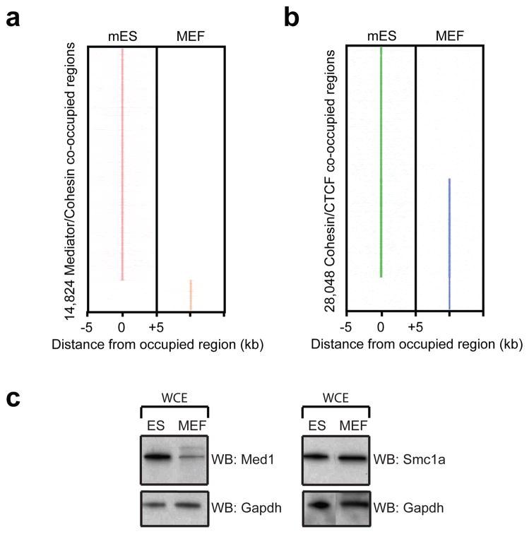 https://cdn.ncbi.nlm.nih.gov/pmc/blobs/b86d/2953795/f1129623f908/nihms225969f5.jpg