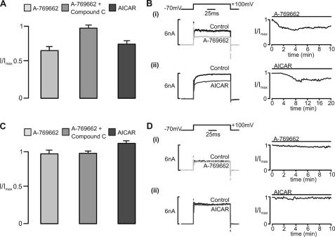 https://cdn.ncbi.nlm.nih.gov/pmc/blobs/b86d/3069395/9113014e574e/zbc0181153600001.jpg