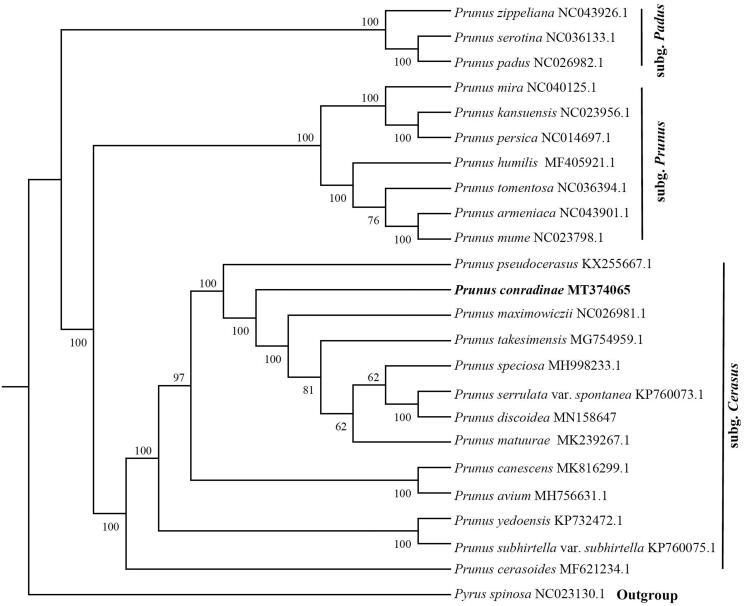 https://cdn.ncbi.nlm.nih.gov/pmc/blobs/b86f/7782140/d01311538294/TMDN_A_1768934_F0001_B.jpg