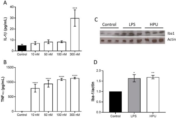 https://cdn.ncbi.nlm.nih.gov/pmc/blobs/b86f/8949269/6c73f97e64e1/ijms-23-03091-g003.jpg
