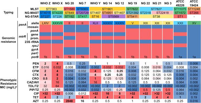 https://cdn.ncbi.nlm.nih.gov/pmc/blobs/b871/11729944/7b3bdad8ecc3/ppat.1012783.g001.jpg