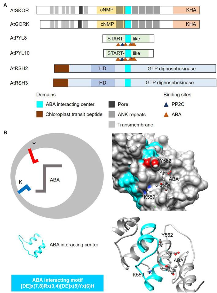 https://cdn.ncbi.nlm.nih.gov/pmc/blobs/b871/9581015/95f3188c3f06/fbinf-01-652286-g0005.jpg