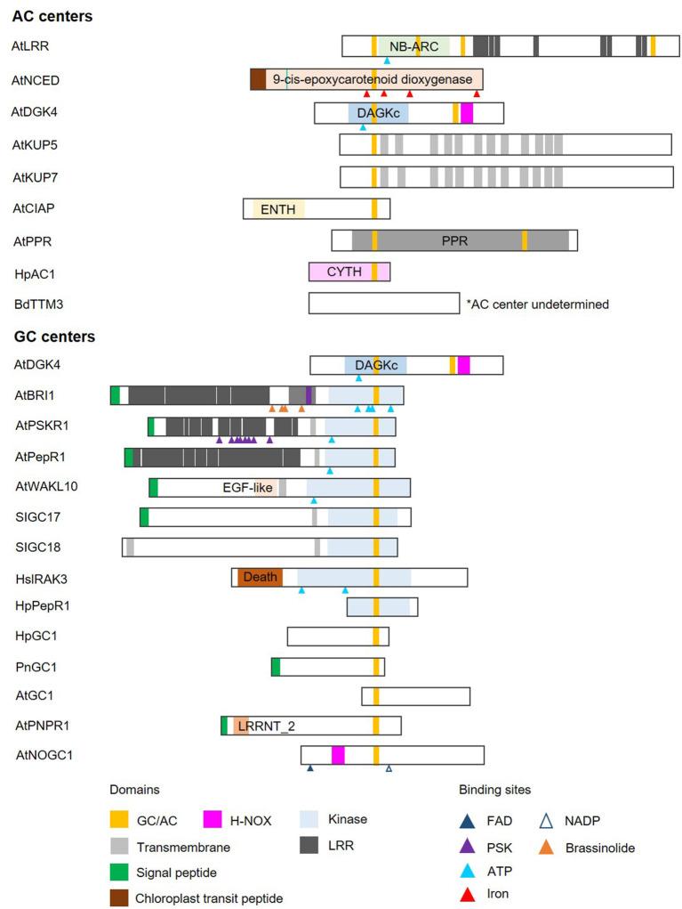 https://cdn.ncbi.nlm.nih.gov/pmc/blobs/b871/9581015/c5e029211060/fbinf-01-652286-g0002.jpg