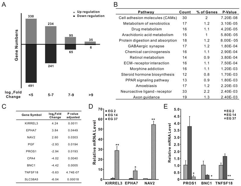 https://cdn.ncbi.nlm.nih.gov/pmc/blobs/b872/5687640/b4e9311b8cc7/oncotarget-08-88719-g006.jpg
