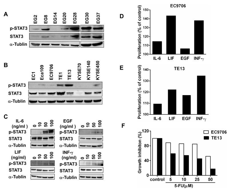 https://cdn.ncbi.nlm.nih.gov/pmc/blobs/b872/5687640/f8b32587e8e6/oncotarget-08-88719-g001.jpg
