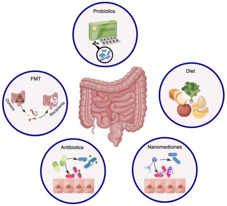https://cdn.ncbi.nlm.nih.gov/pmc/blobs/b873/11024857/52382e752ecd/thnov14p2304g007.jpg