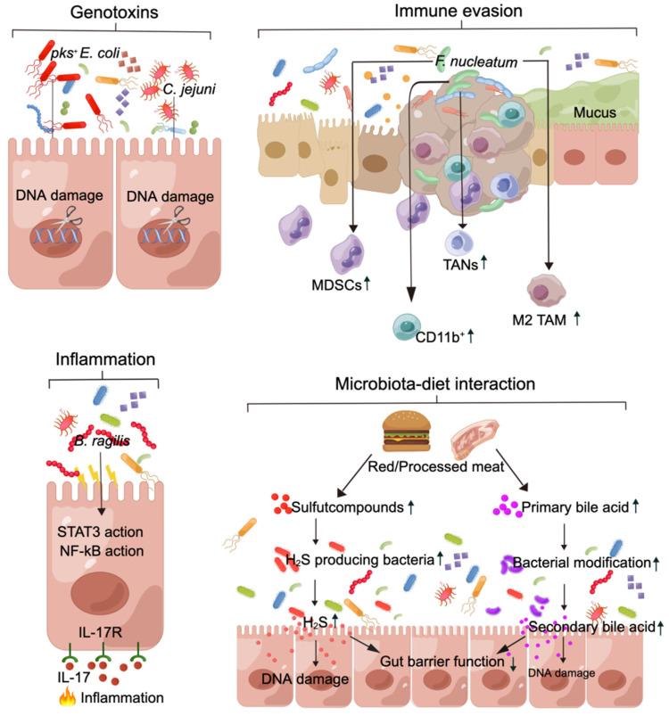 https://cdn.ncbi.nlm.nih.gov/pmc/blobs/b873/11024857/900eb2c3a4f3/thnov14p2304g003.jpg
