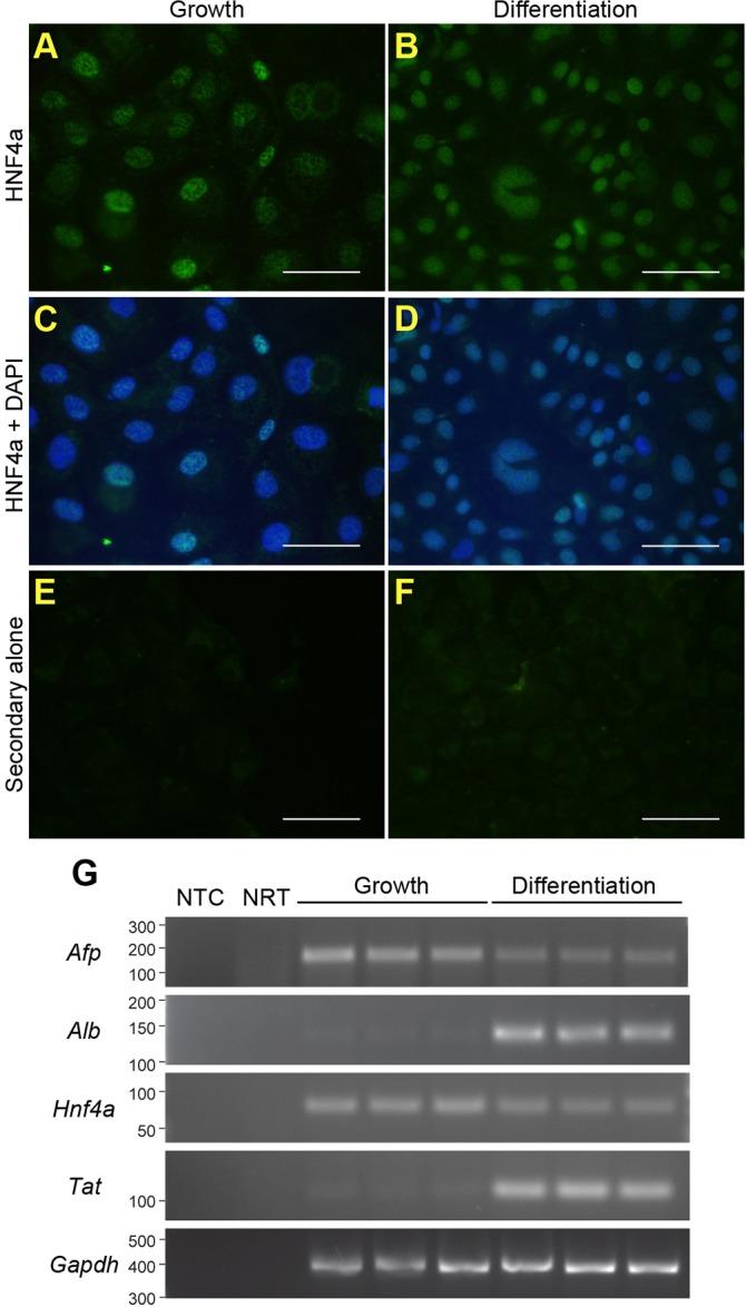 https://cdn.ncbi.nlm.nih.gov/pmc/blobs/b874/4728320/8415ff3f8ccf/dmm-8-022020-g4.jpg