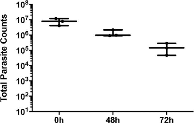 https://cdn.ncbi.nlm.nih.gov/pmc/blobs/b875/10621976/96805a997424/pntd.0011693.g005.jpg