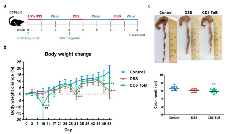 https://cdn.ncbi.nlm.nih.gov/pmc/blobs/b876/11335251/cdd391a045b0/18_2024_5378_Fig4_HTML.jpg