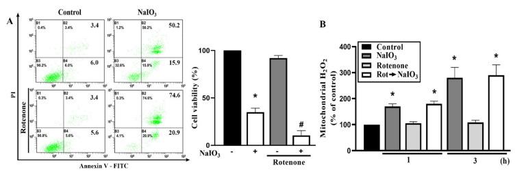 https://cdn.ncbi.nlm.nih.gov/pmc/blobs/b876/7693507/11feb1c324d5/antioxidants-09-01057-g004.jpg