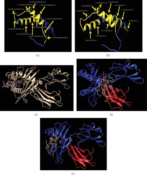 https://cdn.ncbi.nlm.nih.gov/pmc/blobs/b878/7212276/e4dd842ab456/BMRI2020-2683286.006.jpg