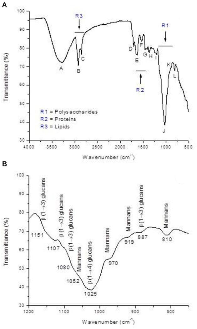 https://cdn.ncbi.nlm.nih.gov/pmc/blobs/b878/8350163/fc006ab78215/fvets-08-677965-g0003.jpg