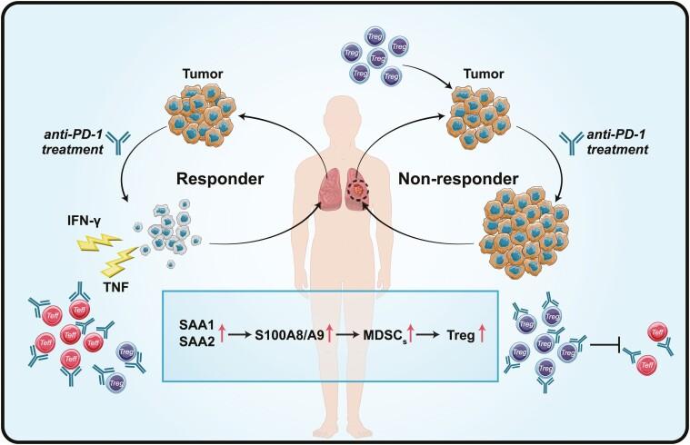 https://cdn.ncbi.nlm.nih.gov/pmc/blobs/b878/9113286/5ebd33f7129b/uxac021_fig9.jpg