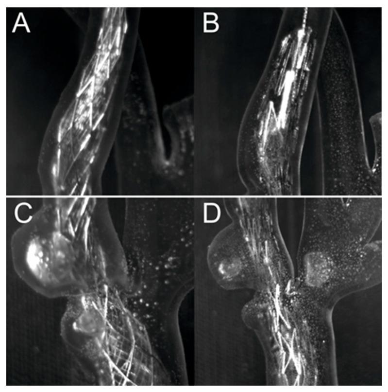 https://cdn.ncbi.nlm.nih.gov/pmc/blobs/b879/11396471/7a789fbd8e20/jcm-13-05115-g010.jpg