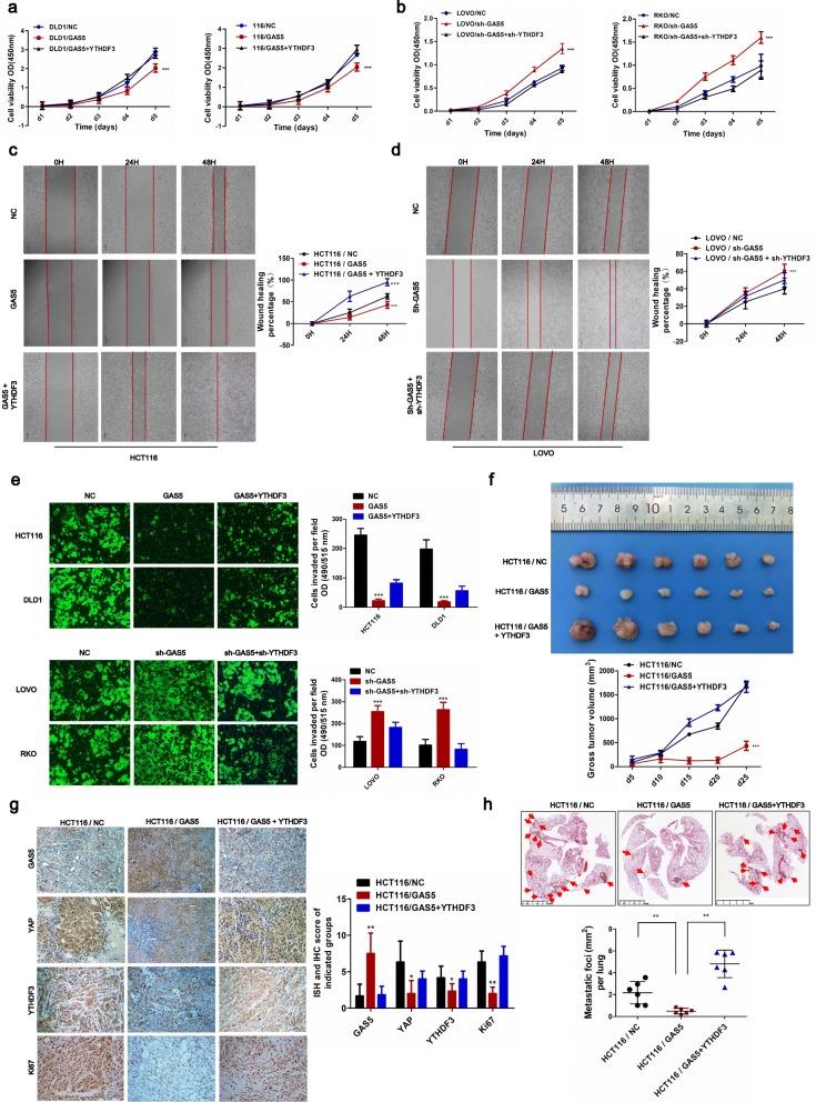 https://cdn.ncbi.nlm.nih.gov/pmc/blobs/b87b/6794841/4f0f71b7f190/12943_2019_1079_Fig5_HTML.jpg