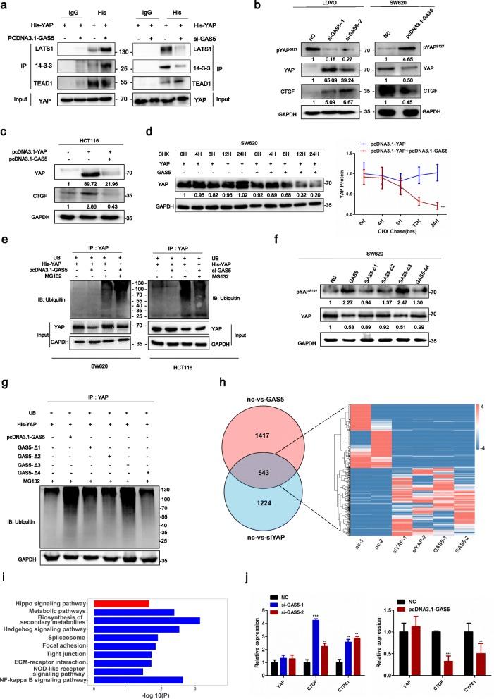 https://cdn.ncbi.nlm.nih.gov/pmc/blobs/b87b/6794841/76fbcd299e87/12943_2019_1079_Fig2_HTML.jpg