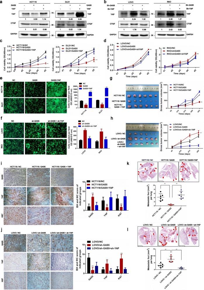 https://cdn.ncbi.nlm.nih.gov/pmc/blobs/b87b/6794841/8c66083c766b/12943_2019_1079_Fig3_HTML.jpg