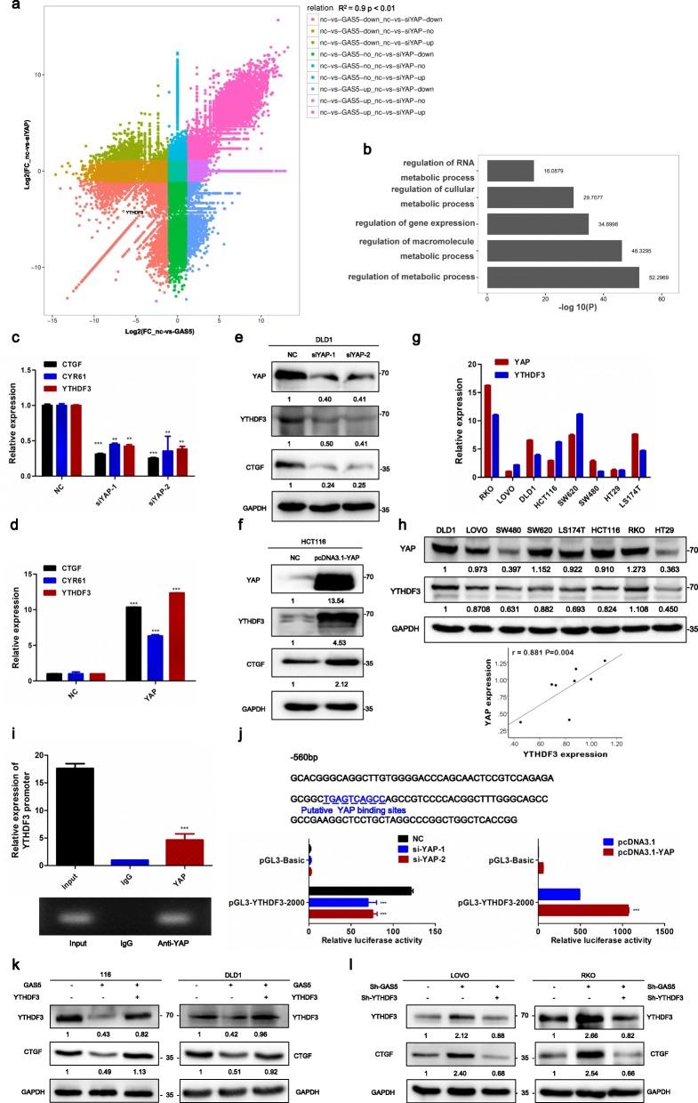 https://cdn.ncbi.nlm.nih.gov/pmc/blobs/b87b/6794841/a2549eeb0d8c/12943_2019_1079_Fig4_HTML.jpg