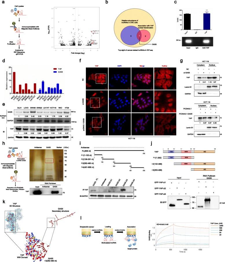 https://cdn.ncbi.nlm.nih.gov/pmc/blobs/b87b/6794841/f789755f436e/12943_2019_1079_Fig1_HTML.jpg