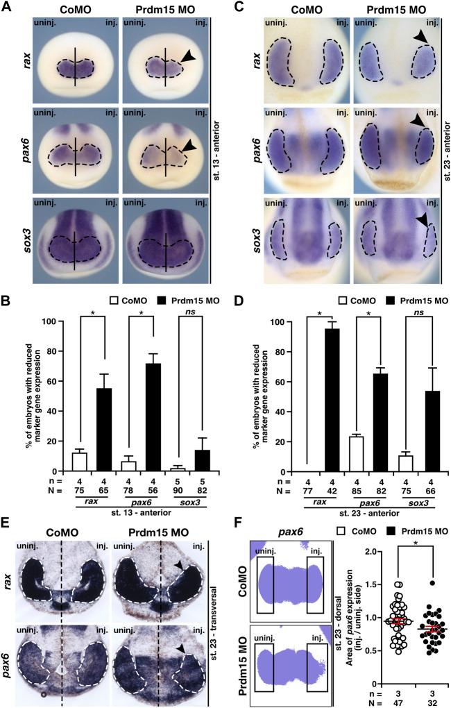 https://cdn.ncbi.nlm.nih.gov/pmc/blobs/b87c/10912572/abdeb898d3c1/fcell-12-1316048-g004.jpg