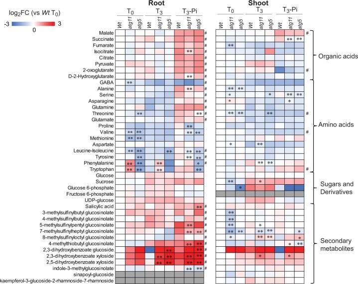 https://cdn.ncbi.nlm.nih.gov/pmc/blobs/b87c/9516138/e57533465e00/koac185f7.jpg