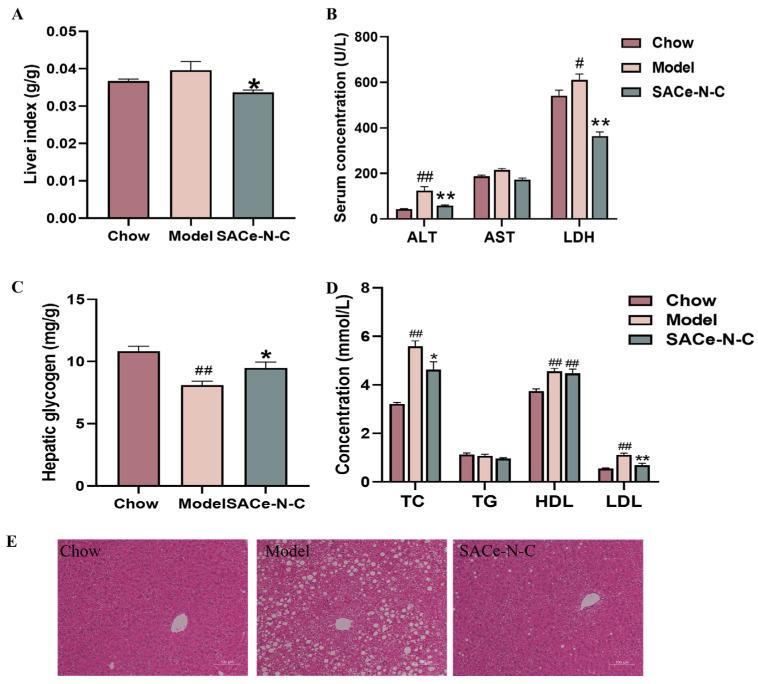 https://cdn.ncbi.nlm.nih.gov/pmc/blobs/b87d/11430424/845ae8d9afae/biomolecules-14-01193-g003.jpg