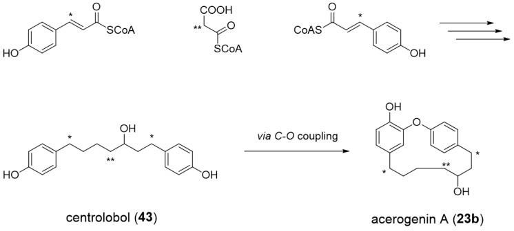 https://cdn.ncbi.nlm.nih.gov/pmc/blobs/b87d/6321387/62710e975329/molecules-23-03107-sch001.jpg