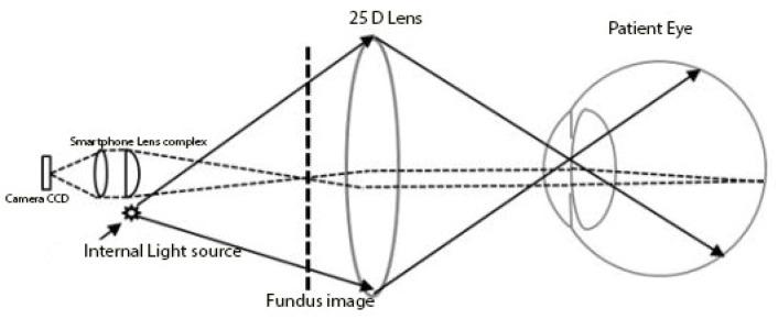 https://cdn.ncbi.nlm.nih.gov/pmc/blobs/b880/9221580/2a902dbee891/diagnostics-12-01499-g001.jpg