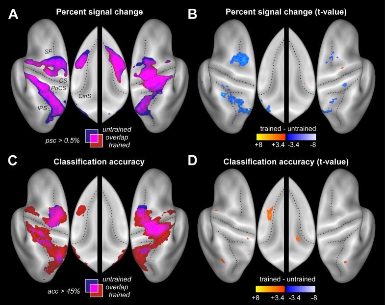 https://cdn.ncbi.nlm.nih.gov/pmc/blobs/b881/3707182/2c51473f7607/elife00801f003.jpg