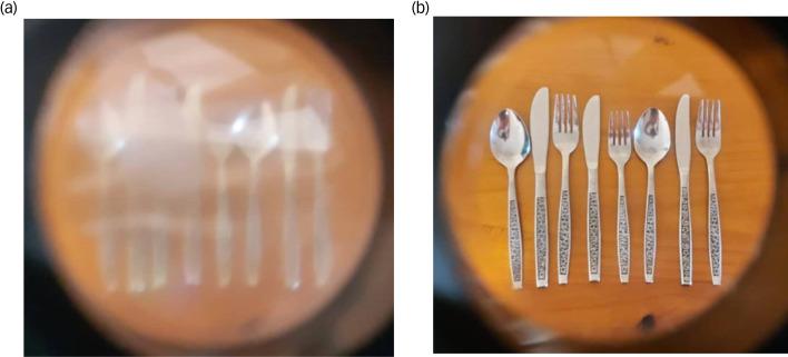 https://cdn.ncbi.nlm.nih.gov/pmc/blobs/b882/9380024/18adbc595bb2/S2056472422005580_fig1.jpg
