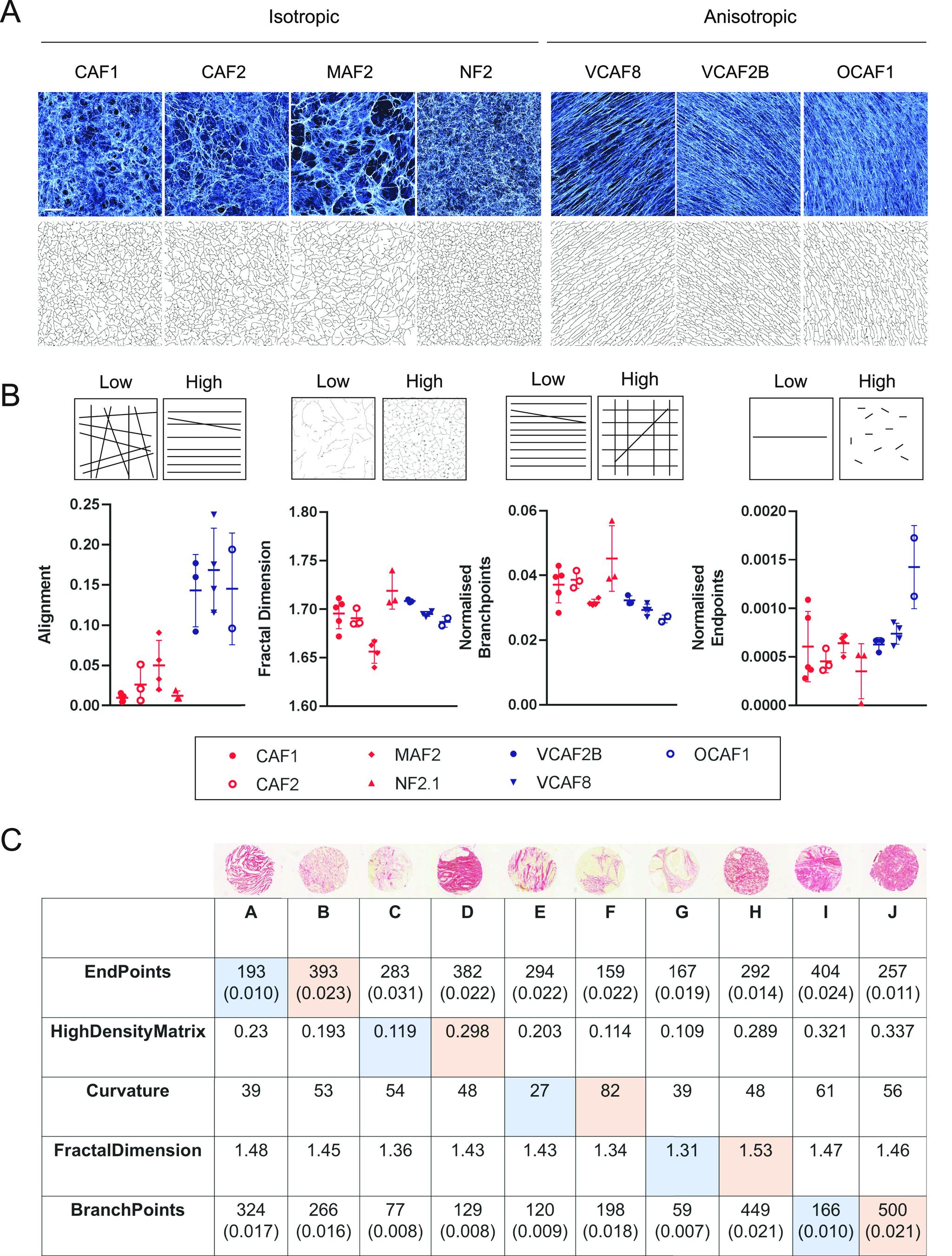 https://cdn.ncbi.nlm.nih.gov/pmc/blobs/b884/7898596/d8cf81dc4ac9/LSA-2020-00880_Fig5.jpg