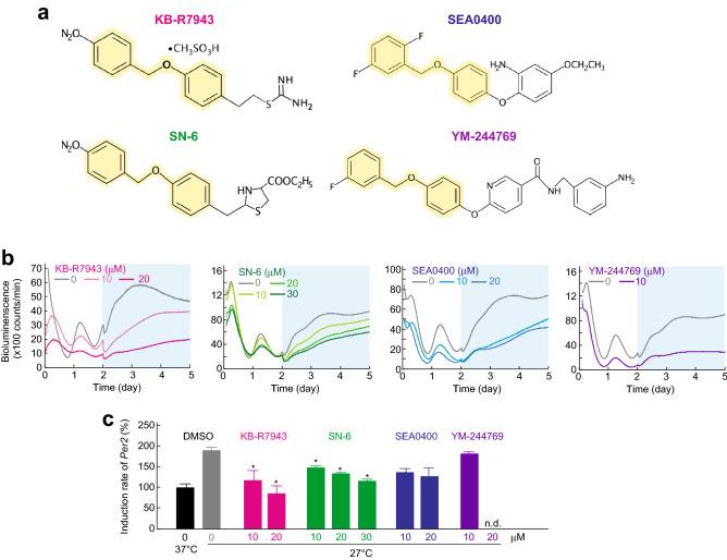 https://cdn.ncbi.nlm.nih.gov/pmc/blobs/b885/9569354/5d0a1c4919ae/41598_2022_22166_Fig4_HTML.jpg