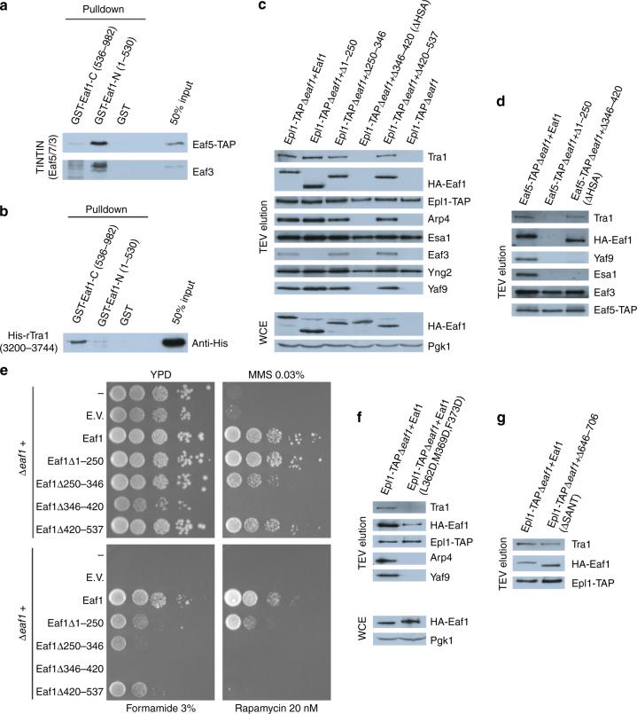 https://cdn.ncbi.nlm.nih.gov/pmc/blobs/b887/5861120/8426e28c9c06/41467_2018_3504_Fig6_HTML.jpg