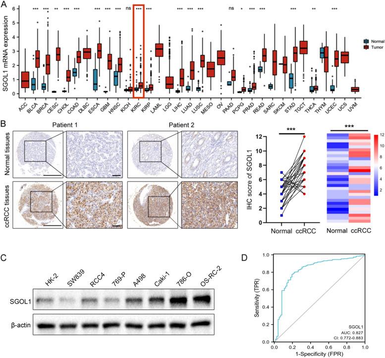 https://cdn.ncbi.nlm.nih.gov/pmc/blobs/b88a/10882763/d68749a8d3ab/12920_2024_1825_Fig1_HTML.jpg