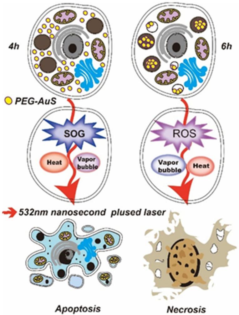 https://cdn.ncbi.nlm.nih.gov/pmc/blobs/b88a/8878397/349ee71a96e4/nanomaterials-12-00646-g001.jpg