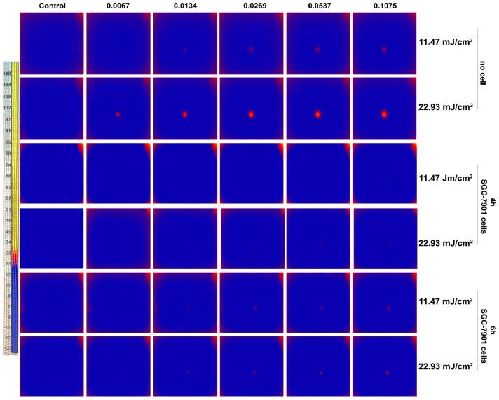 https://cdn.ncbi.nlm.nih.gov/pmc/blobs/b88a/8878397/9f9005837e88/nanomaterials-12-00646-g008.jpg