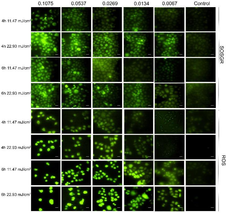 https://cdn.ncbi.nlm.nih.gov/pmc/blobs/b88a/8878397/aff1293d8903/nanomaterials-12-00646-g009.jpg