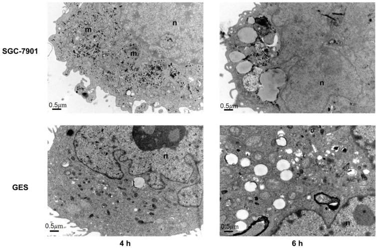 https://cdn.ncbi.nlm.nih.gov/pmc/blobs/b88a/8878397/edd91b027203/nanomaterials-12-00646-g007.jpg