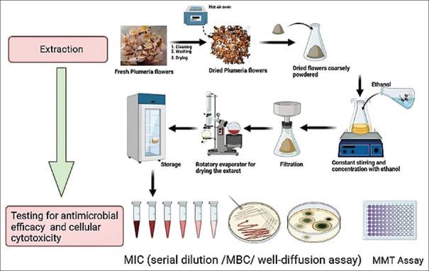 https://cdn.ncbi.nlm.nih.gov/pmc/blobs/b88a/9362818/319181167546/JISP-26-334-g001.jpg