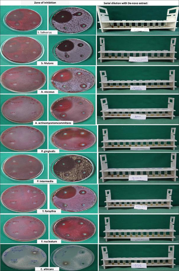 https://cdn.ncbi.nlm.nih.gov/pmc/blobs/b88a/9362818/b74b1dd711a9/JISP-26-334-g002.jpg