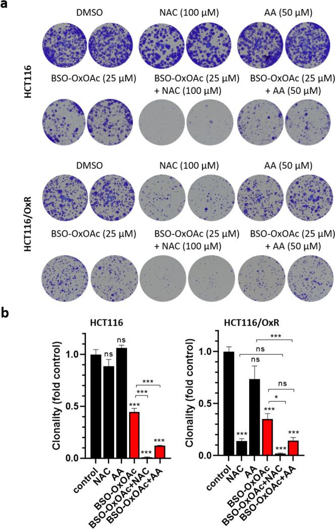 https://cdn.ncbi.nlm.nih.gov/pmc/blobs/b88a/9814792/46a50223cc68/42004_2022_661_Fig6_HTML.jpg
