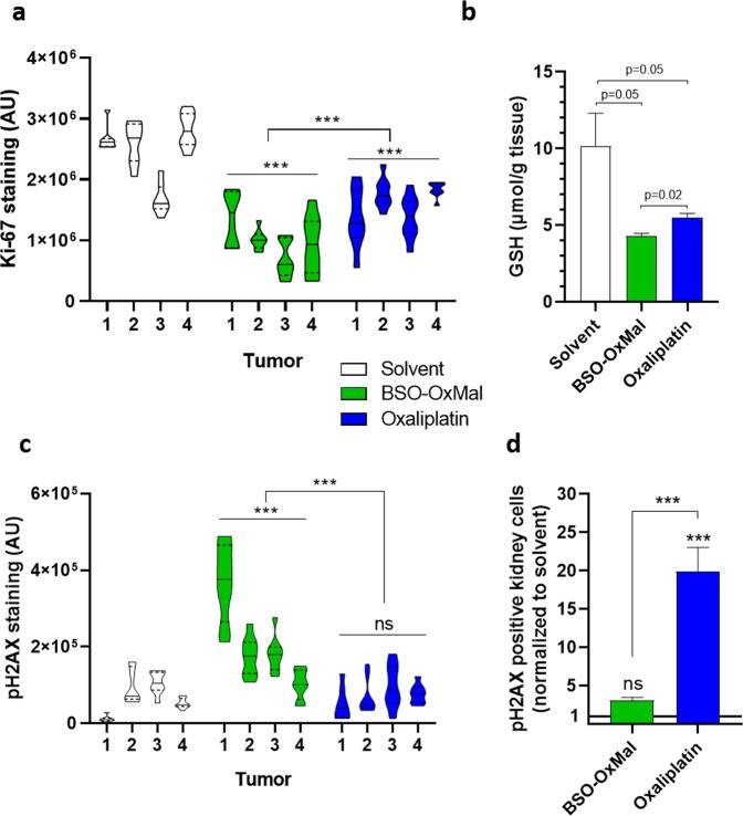 https://cdn.ncbi.nlm.nih.gov/pmc/blobs/b88a/9814792/6cb0d29073a8/42004_2022_661_Fig9_HTML.jpg